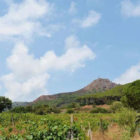 公寓 Locazione Turistica Casa Gabriella 阿祖罗港